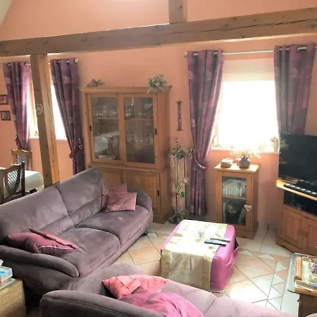 Au Coeur De L'alsace De 170 M2 Et Piscine *